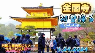 【金閣寺雪降る2024•冬シーズン】外国人観光客大人気スポット‼️|Golden Pavilion (Kinkakuji)with Snowfall 1.24.2024