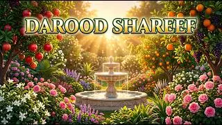 Durood Shareef | Beautiful Arabic Recitation | Peaceful Islamic Video