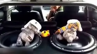 Танцующий Басик LOUD SOUND