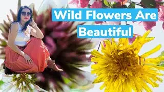 Wild Flowers Are Beautiful