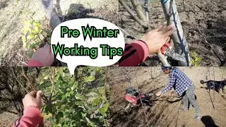 Pre - Winter ❄️ Working Tips | सर्दियों में किए जाने वाले कार्य |