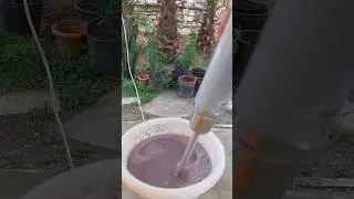НИКТО ! НЕ УГАДАЕТ   что Я добавил в овсянку))#meal#tips#viral