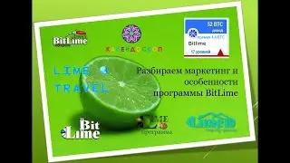 Magic Lime Academy   Как за 5 шагов получить 1 млн $