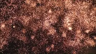POKAZ 2019   PETARDA