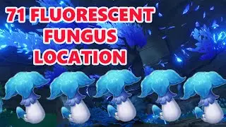 All 71 Fluorescent Fungus Location Tsurumi Island Genshin Impact 2.2