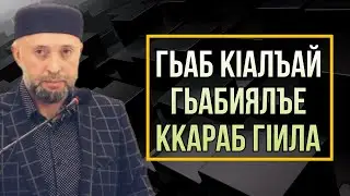 Гьаб кIалъай гьабиялъе ккараб гIила