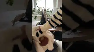 Pt 2 Halloween decorating