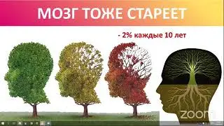 Исправная РАБОТА МОЗГА без слабоумия, деменции, болезней Альцгеймера и Паркинсона