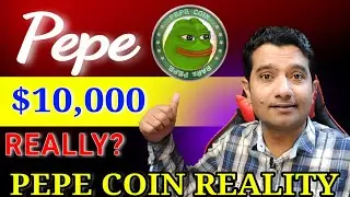 Pepe Coin Reality, you won't Miss! [ FULL REVIEW ]