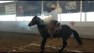 Pial - Rancho Los Dorados