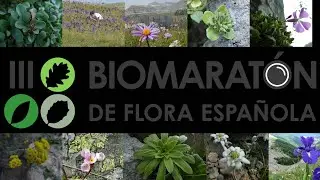 18-21 de mayo: Biomaratón de Flora