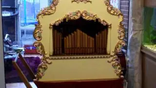 Alan Pell 30 note street organ plays Tulips from Amsterdam