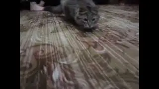 Федя позирует