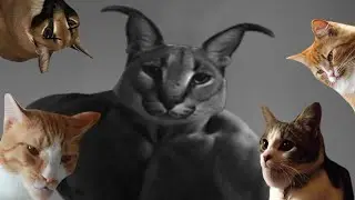 Gigachad Animals😳