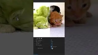 ProcAmp effect- brightness,sharp and Hue change -Premiere pro