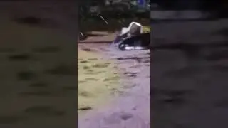 Авария на Ботанике