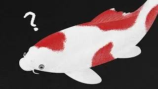 How Conscious Can A Fish Be?