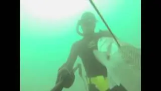 Etretat Chasse sous marine à la palme, un jour avec et un jour Sans