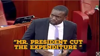 How a Kenyan Senetor Has Been Trending In Uganda For Exposing The Government - Gen z  Effects.