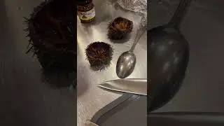 Морские ежи. #еда #кухня #морскиеежи