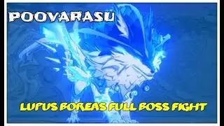 Lupus Boreas Full Boss Fight