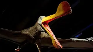 Fly like a pterosaur at interactive museum exhibit