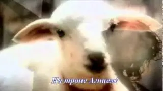 Все небеса