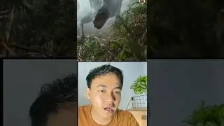 Begini jadi nya ketika Manusia Hidup di Jaman DINOSAURUS !