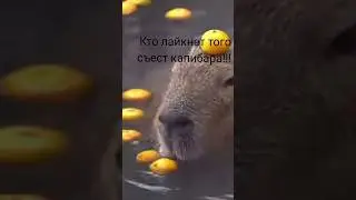 не лайкай! ААААООАААА