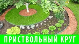 УХОД ЗА ПРИСТВОЛЬНЫМИ КРУГАМИ ПЛОДОВЫХ ДЕРЕВЬЕВ