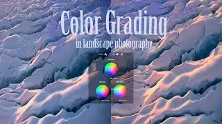 How to Use the Color Grading Tool in Photoshop