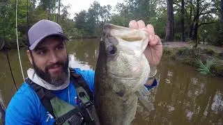 40+ Bass In a few hours!!  (Hobie PA14)