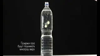 Удивительное вещество - вода