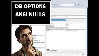 DB options: ANSI Nulls ON
