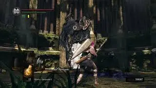 ds:r sl1 proof