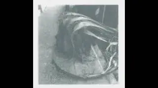 Rooms in Negative - Pliancy