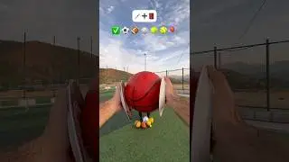 Can You catch The ball with Dish 🥣🏀🎾🏈?