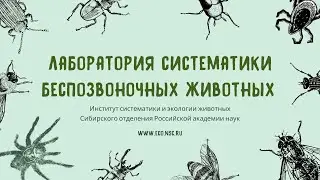 Лаборатория систематики беспозвоночных животных ИСиЭЖ СО РАН