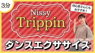 【Trippin/Nissy】初心者さんにもオススメ♪シンプルダンスエクササイズ！【Dance Exercise】