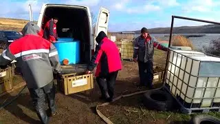 Проект 