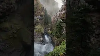 No existe mejor plan en la naturaleza que este...🍁🧡