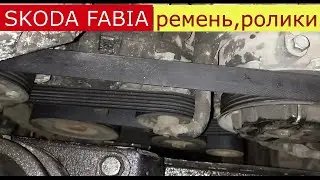 replacement of drive belt and rollers ŠKODA FABIA