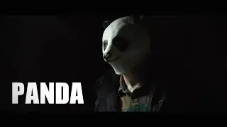 Panda Low Light Test (Ursa Mini 4K)