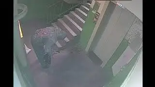 Дезинфекция подъезда Рязань 31.03.20