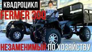 REVIEW of the ATV with a body IMPERIYA-MOTO FERMER 300