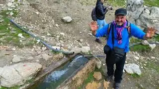 Doğanın Sesi