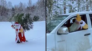 Дед Мороз из леса с ёлками 🌲😍