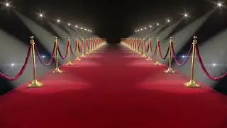 Red Carpet Background [No Copyright]