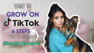 Want to Grow on TikTok? 6 Steps Every Pet Influencer Should Do Now