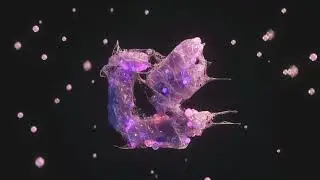 Labworks 001